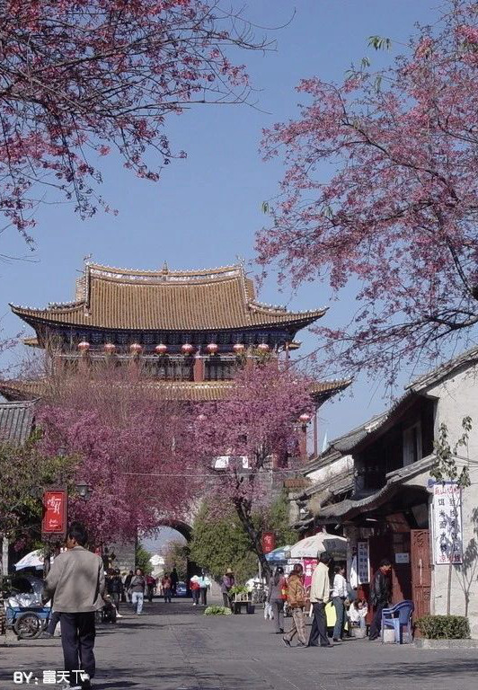 张　夏丨去大鹏古城有多远(短篇小说)