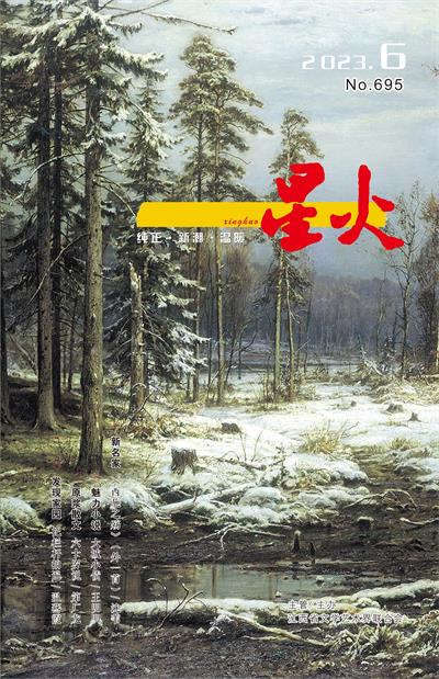 《星火》2023年第6期封面及目录