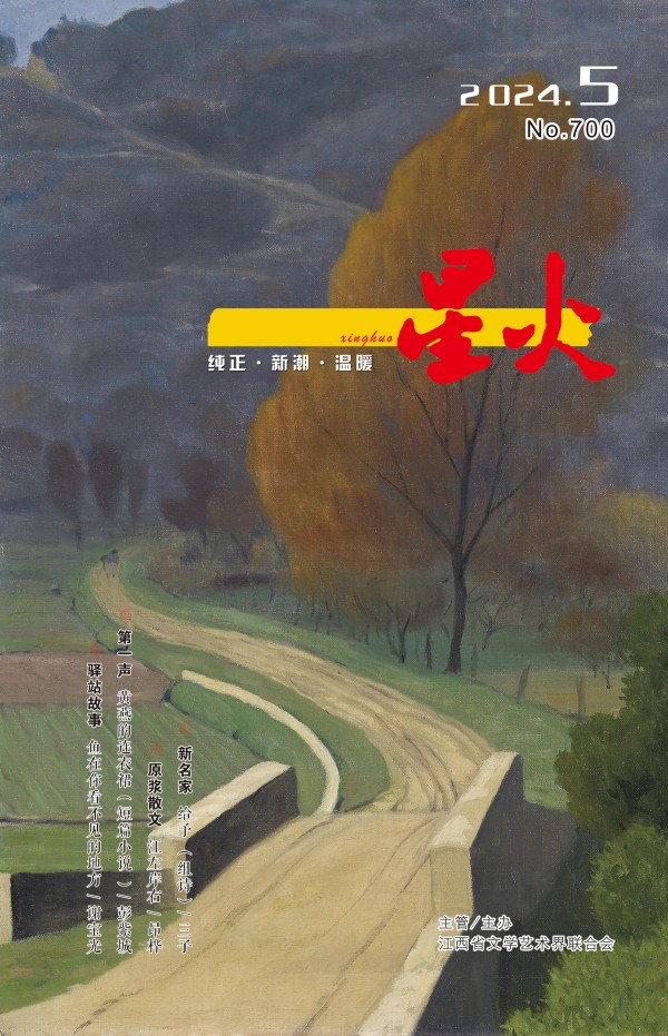 《星火》2024年第5期